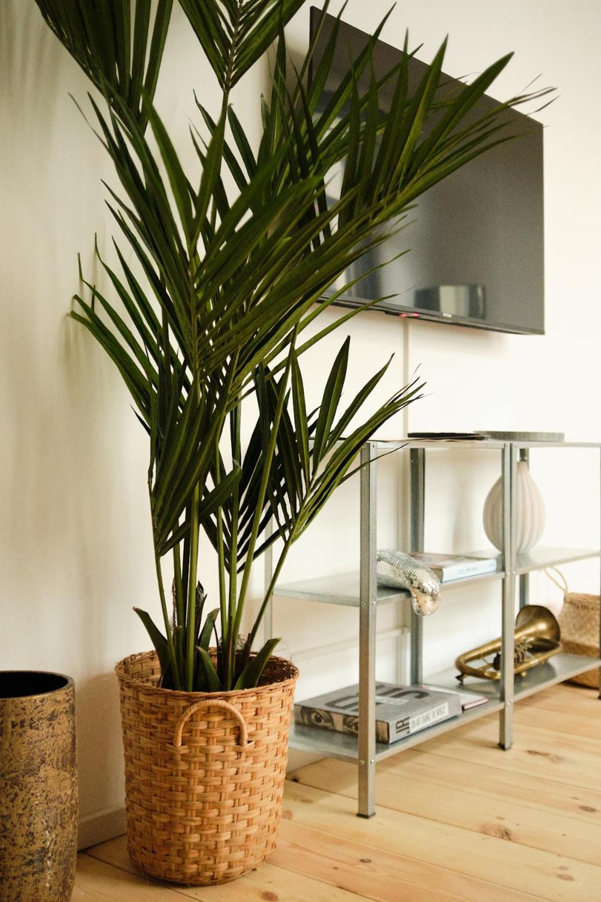 Modern Design 75sq In Mitte Apartment Berlin